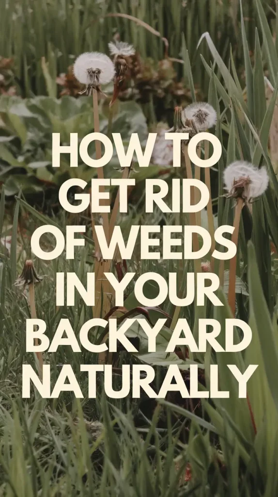 How to Get Rid of Weeds in Your Backyard Naturally — My Proven 2025 Guide