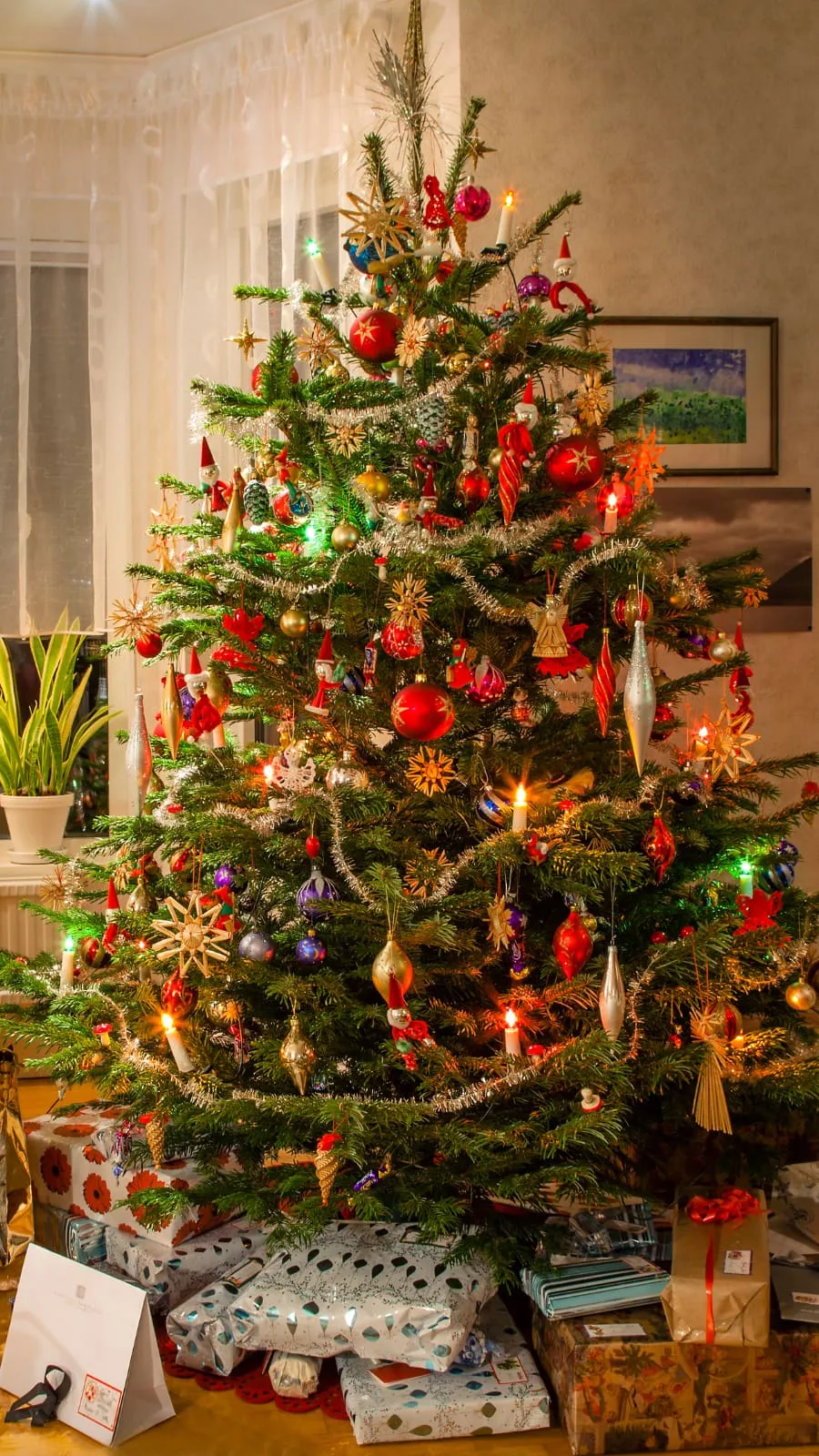 10 Fun Facts About the Christmas Tree You Didn't Know