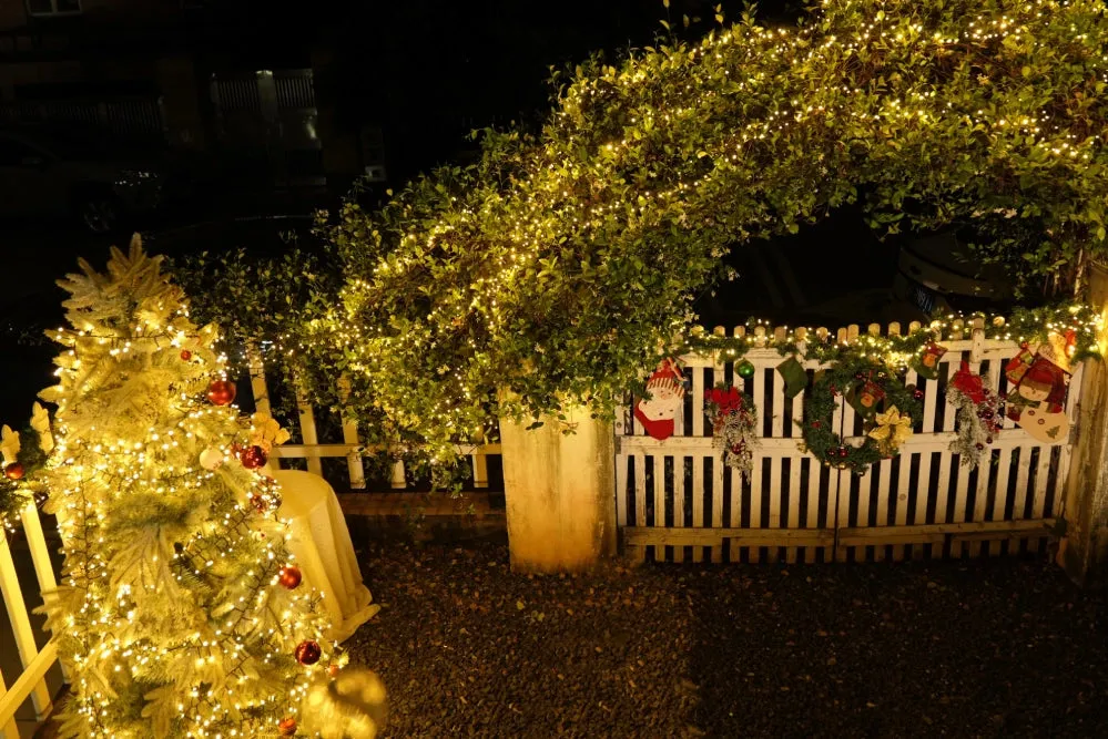 10 Outdoor Christmas Lights Ideas That Are Sure to Impress – Ollny