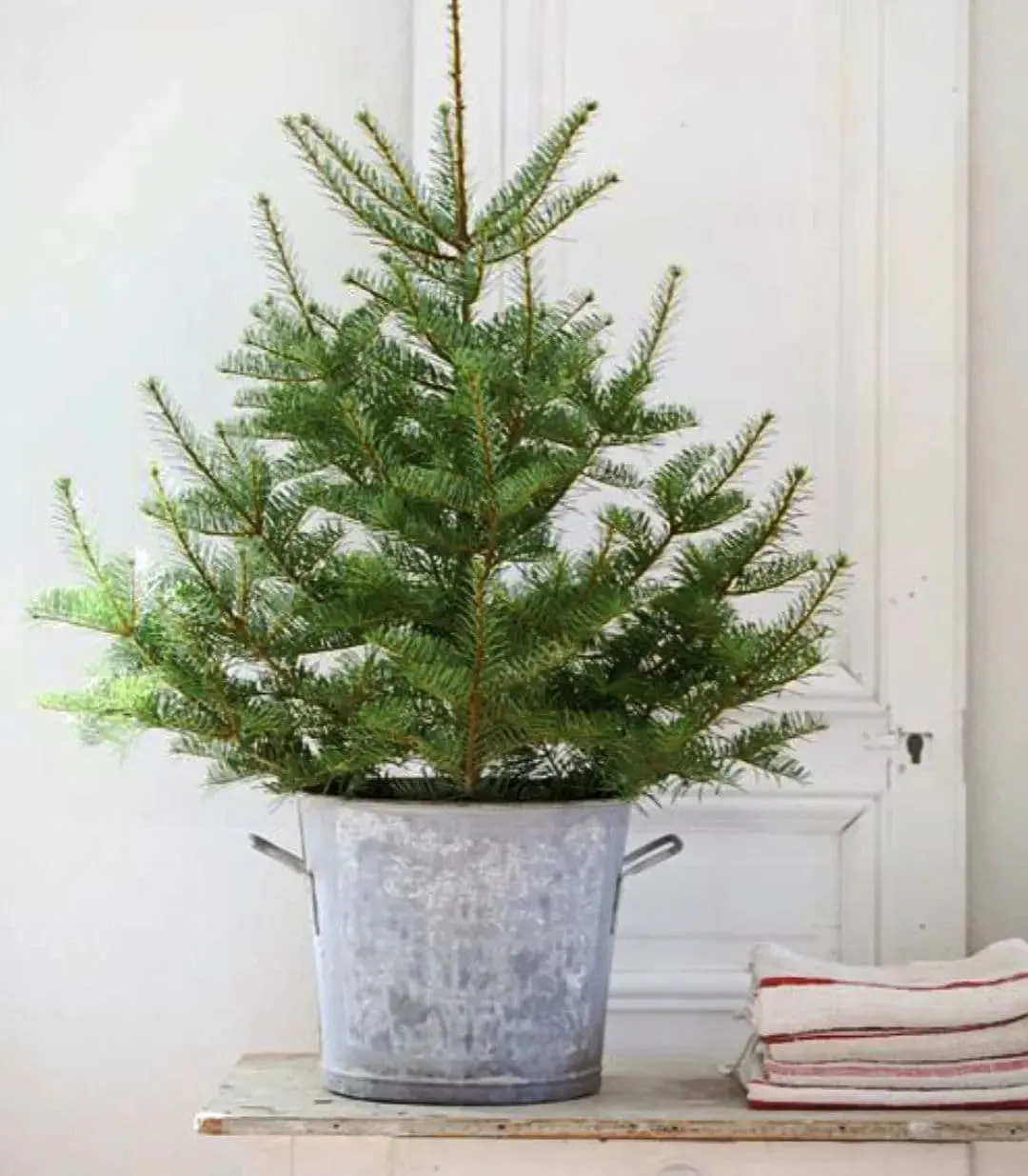 100 Fabulous Christmas Tree Decorating Ideas - shabbyfufu.com