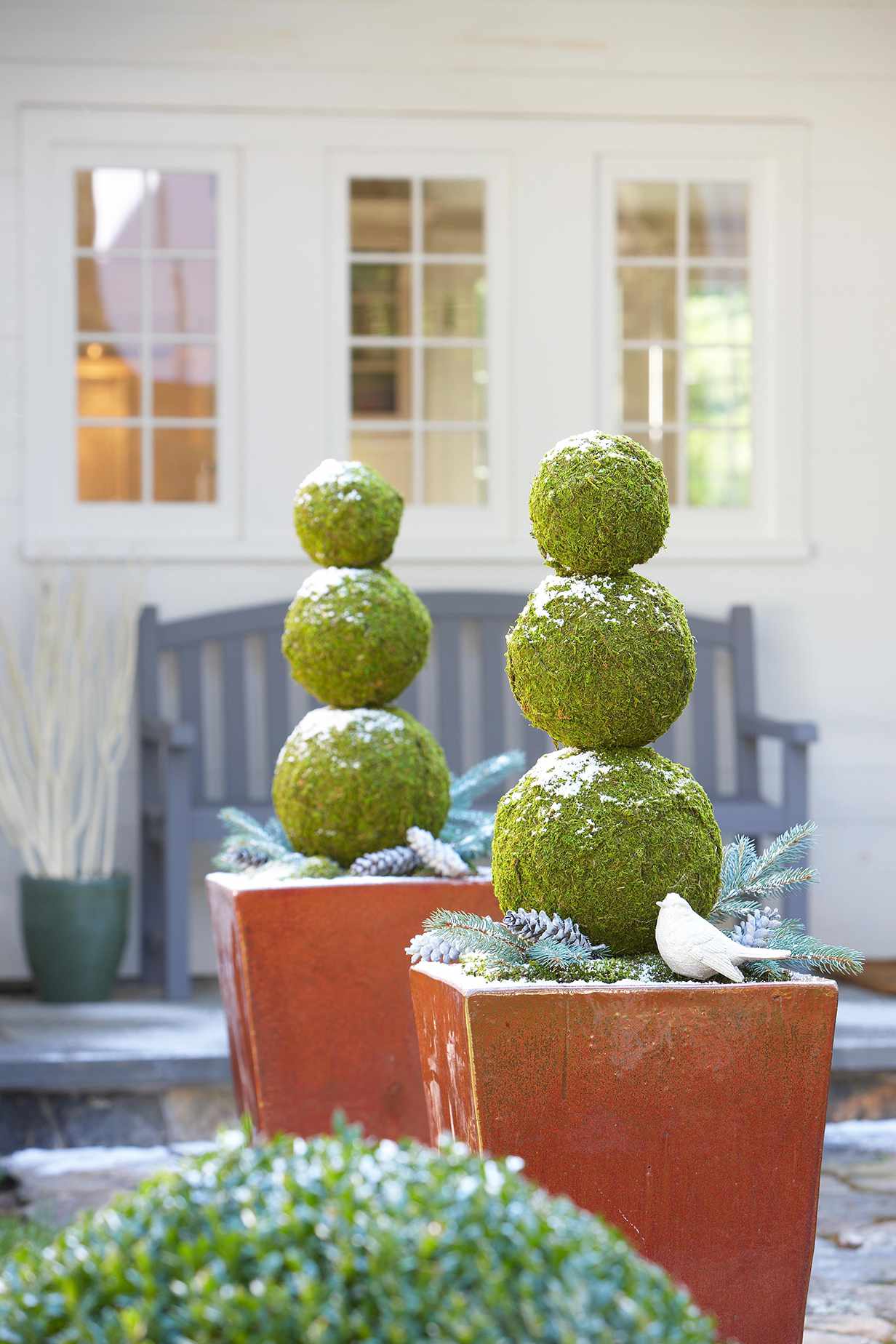 14 Winter Planter Ideas for Holiday Cheer