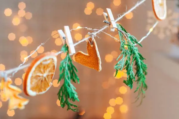 16 Eco-Friendly Homemade Christmas Decorations - Brown Thumb Mama®