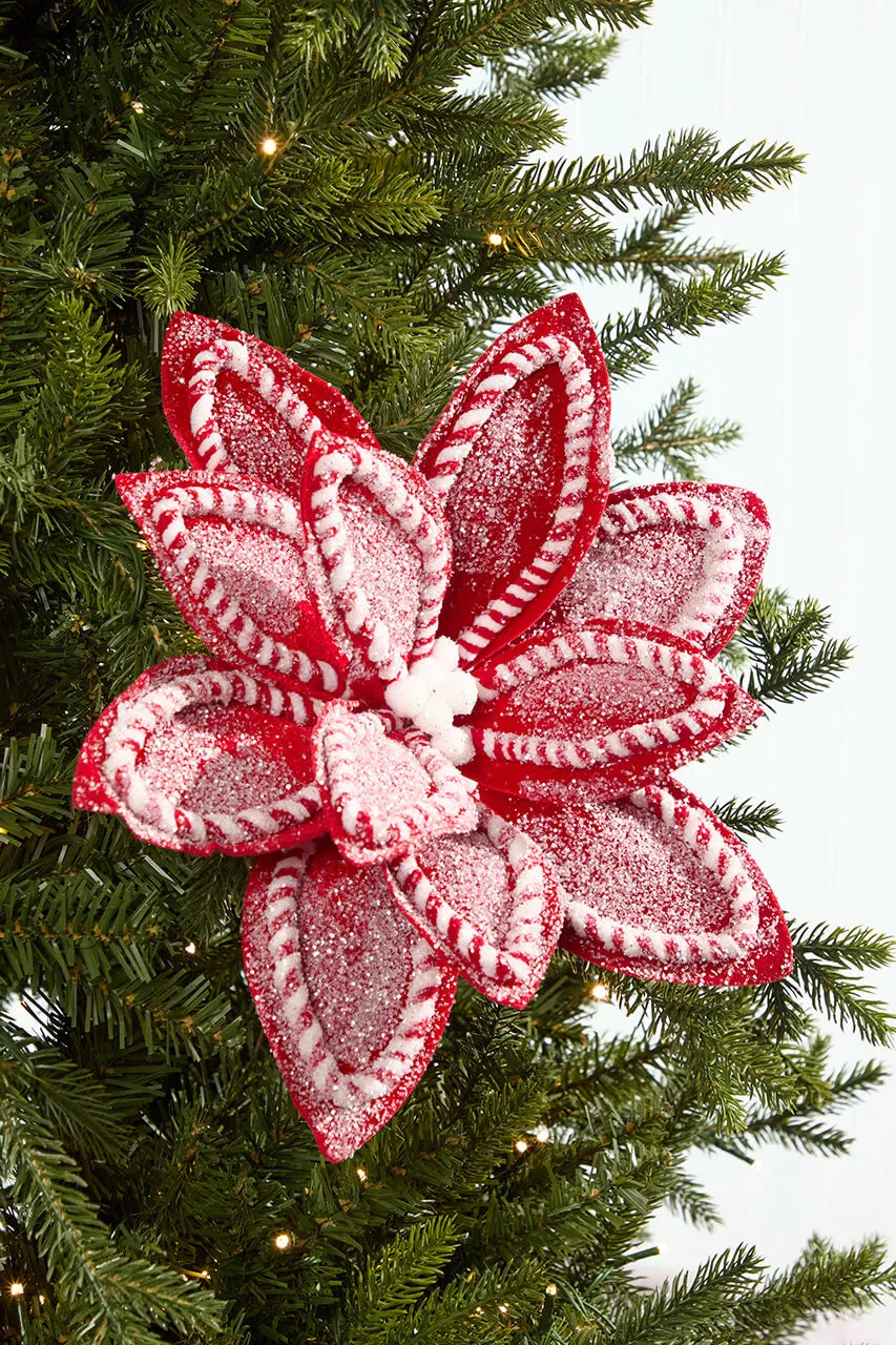 22' Red & White Sugar & Spice Poinsettia Stem