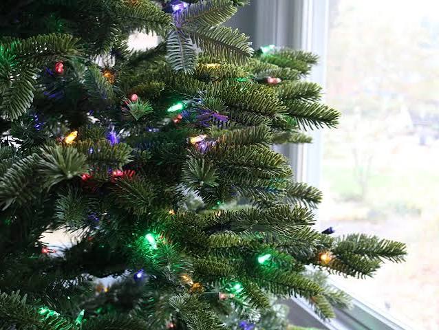 3 Best Christmas Tree Lights of 2026, Tested and Reviewed | HGTV
