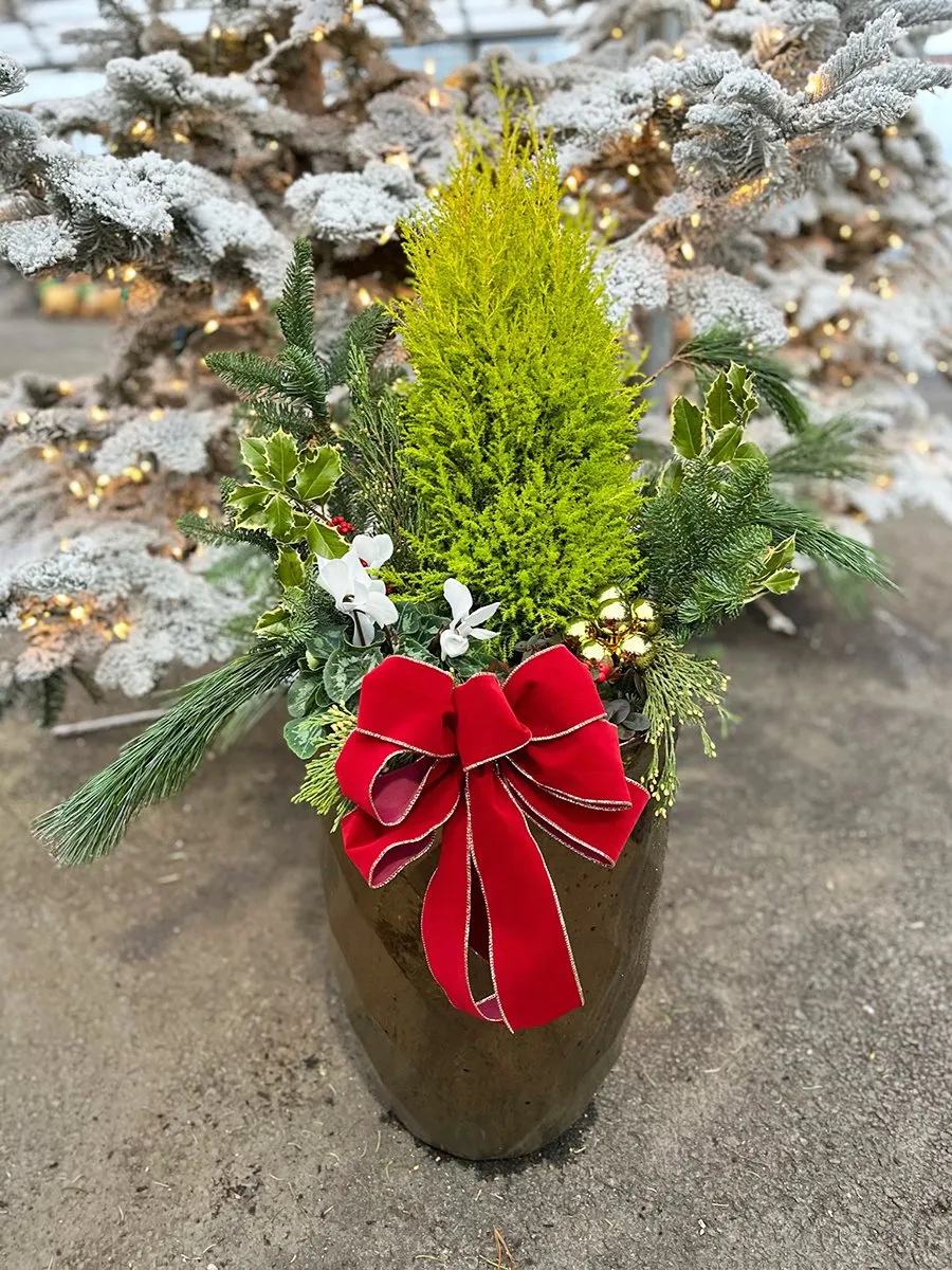 3 Ways to Refresh Your Porch Pots With Holiday Greenery - 7 Dees