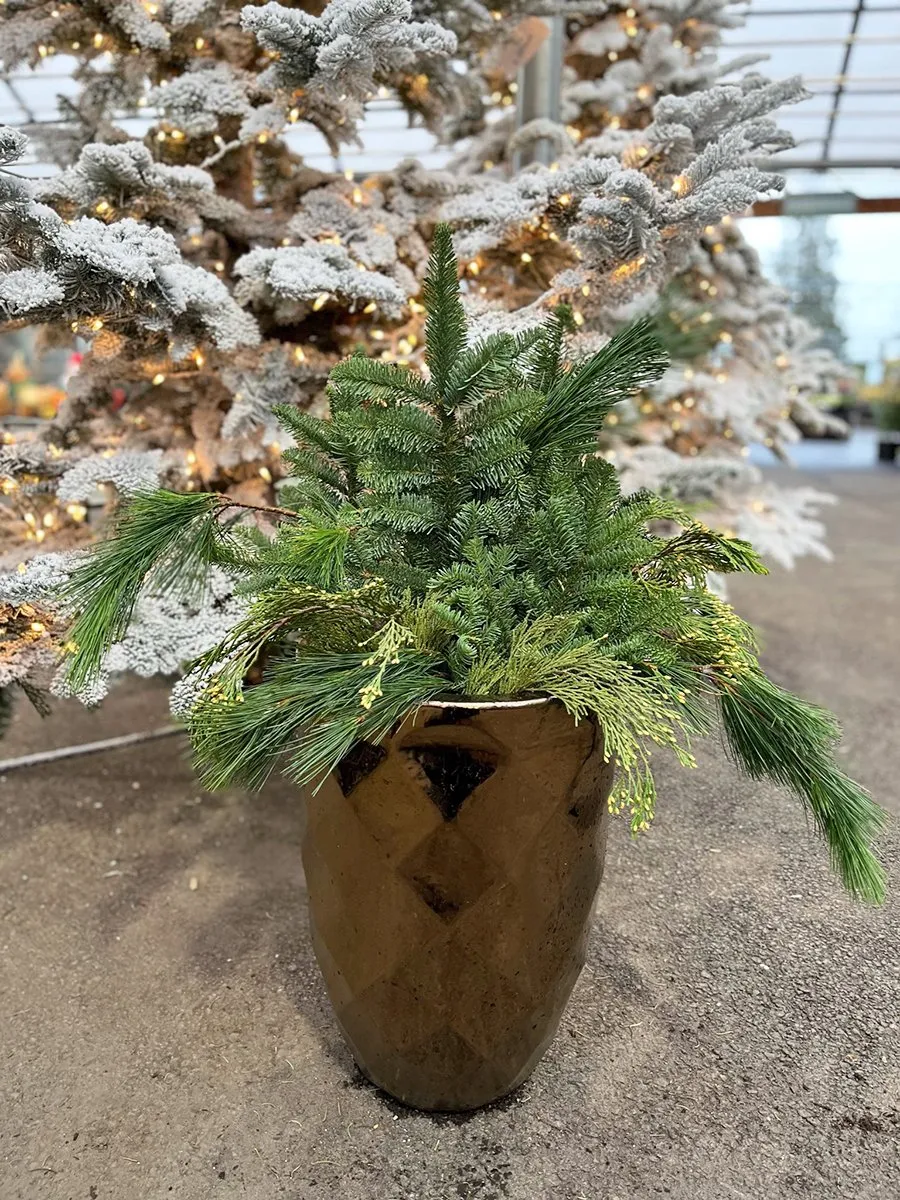 3 Ways to Refresh Your Porch Pots With Holiday Greenery - 7 Dees