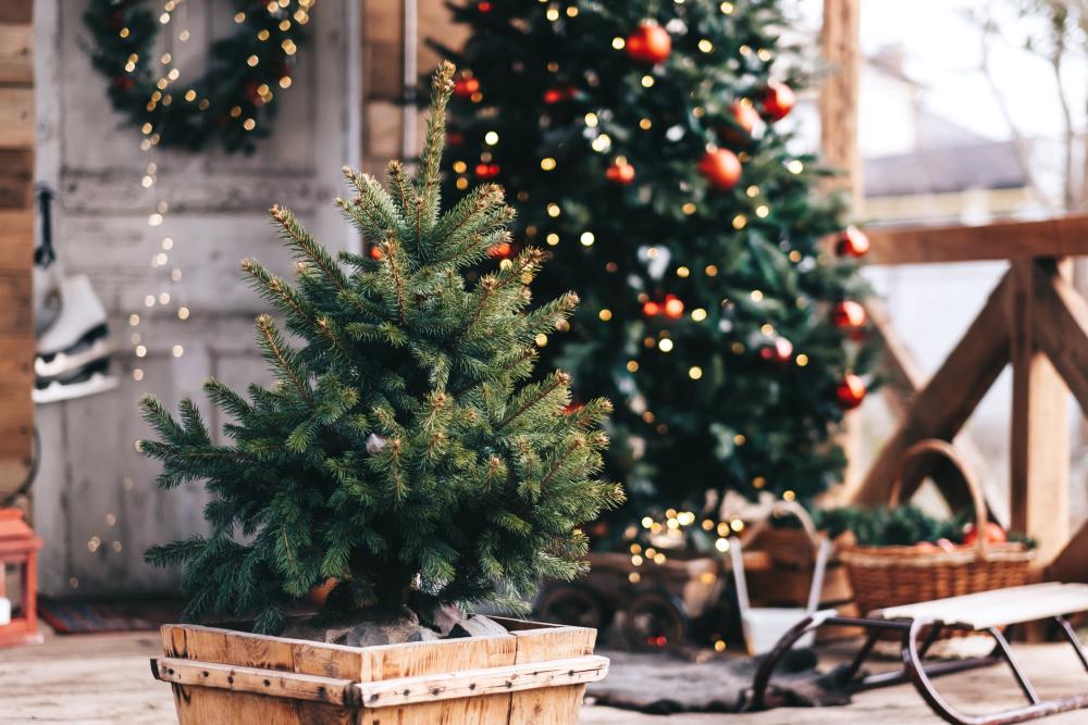 50 DIY Outdoor Christmas Decoration Ideas That Instantly Make Your Home the  Best on the Block