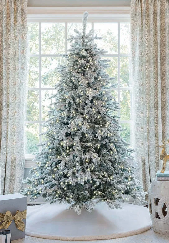 500-1000 Tips Christmas Trees - Designer Picks | Foter