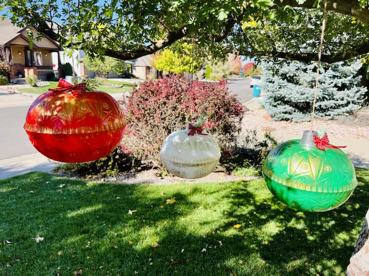 6 Amazing & Easy DIY Outdoor Christmas Decorations - Chas' Crazy Creations