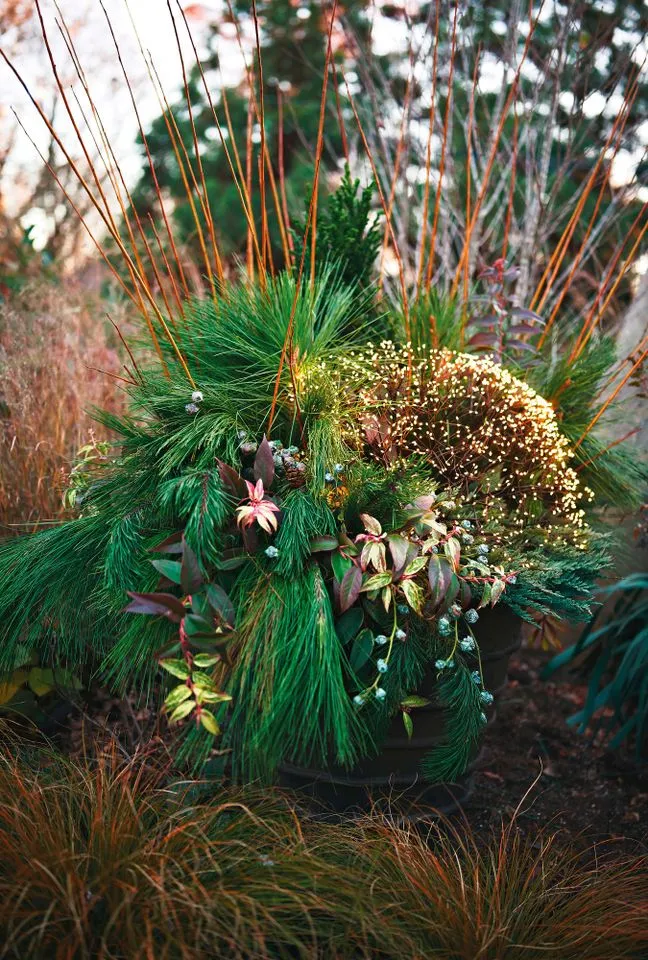 6 Cold-Season Container Ideas That Celebrate Fall and Winter's Natural  Beauty - AOL