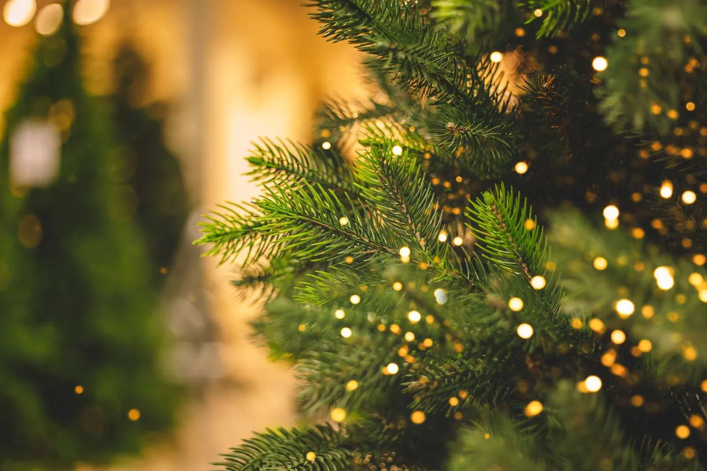 7 Christmas Decorations We Love To Hate