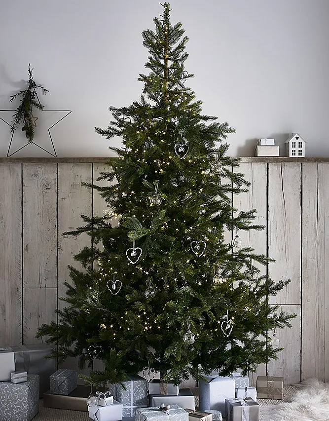 7.5ft Grand Spruce Christmas Tree | Christmas Trees | The White Co...