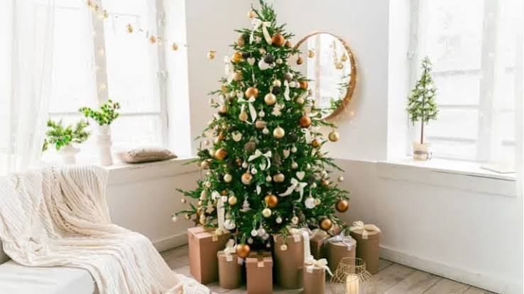8 Unique Christmas Decor Ideas to Try This Year | MYMOVE