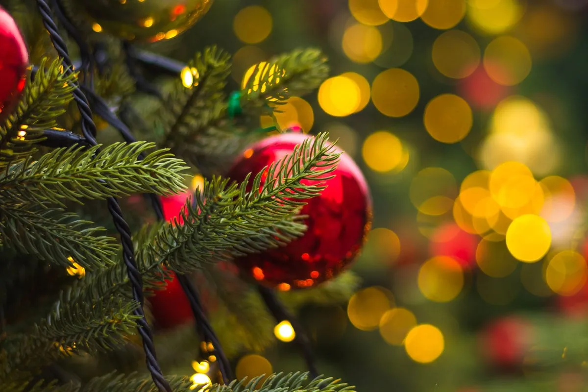 A Christmas Essay By Ian Nordling – Growing Kids Therapy Center