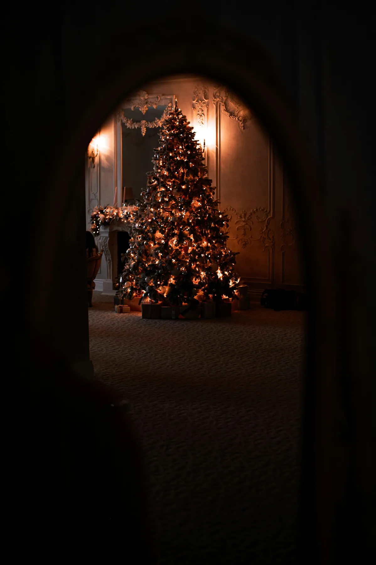 A christmas tree is lit up in a dark room - Free Photo on Unsplash