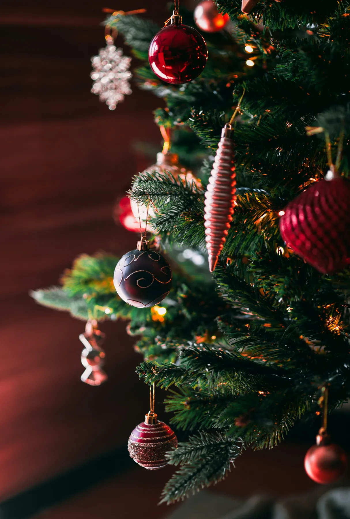 A close up of a christmas tree with ornaments - Free Photo on Unsplash