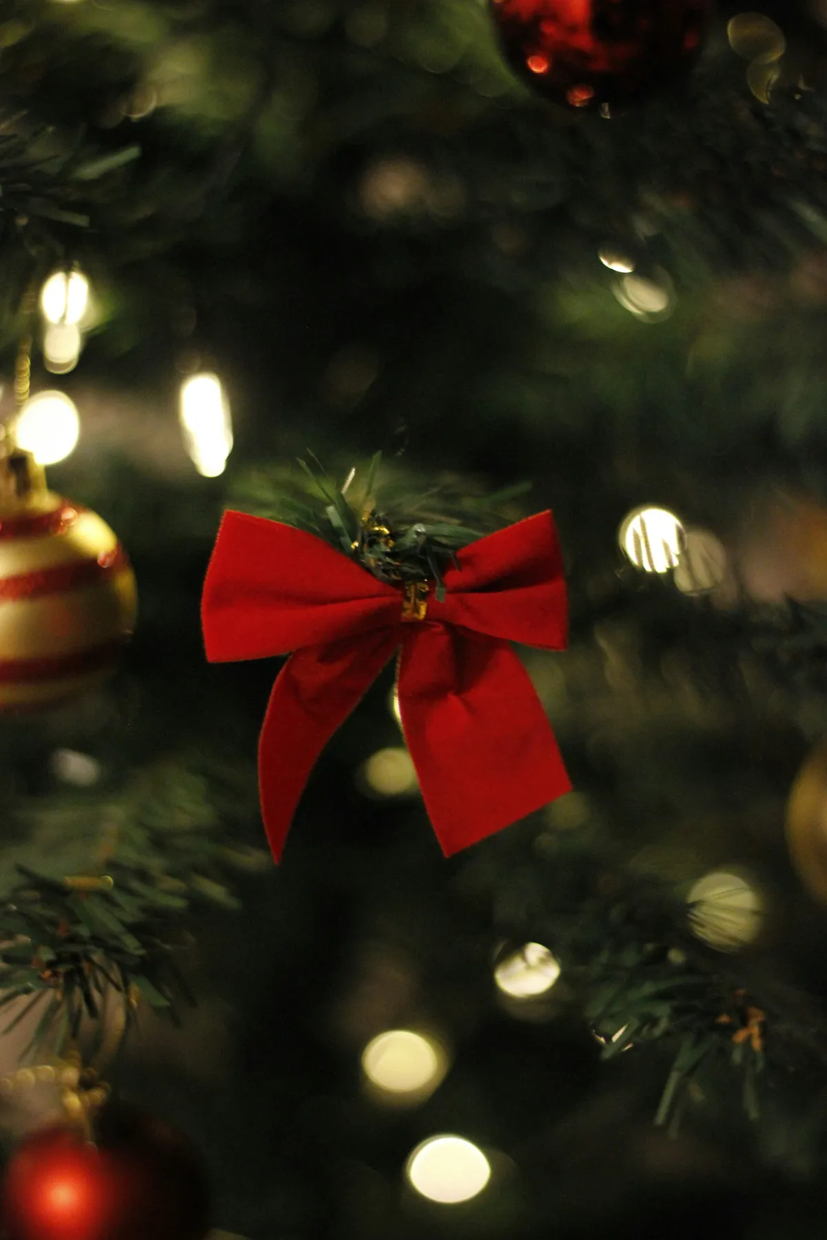 A close up of a christmas tree with ornaments