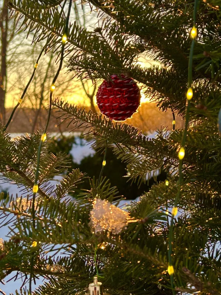 A Winter Symphony “Christmas Tree in the Snow” – Burgundy Dream Bed and  Breakfast