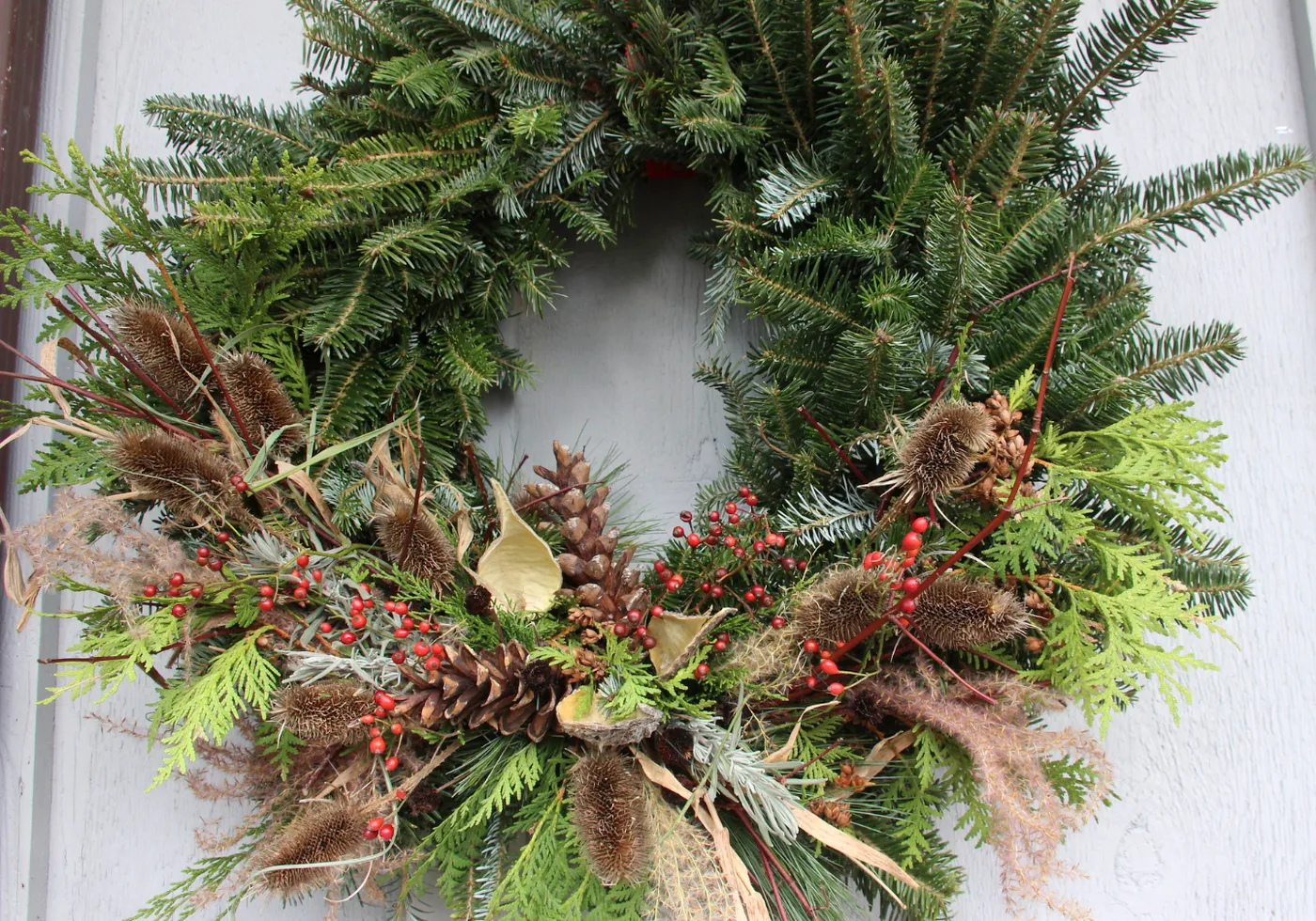 An Audubon Wreath: The Ideal Holiday Gift or Decoration for Your Home • Audubon Community Nature Center