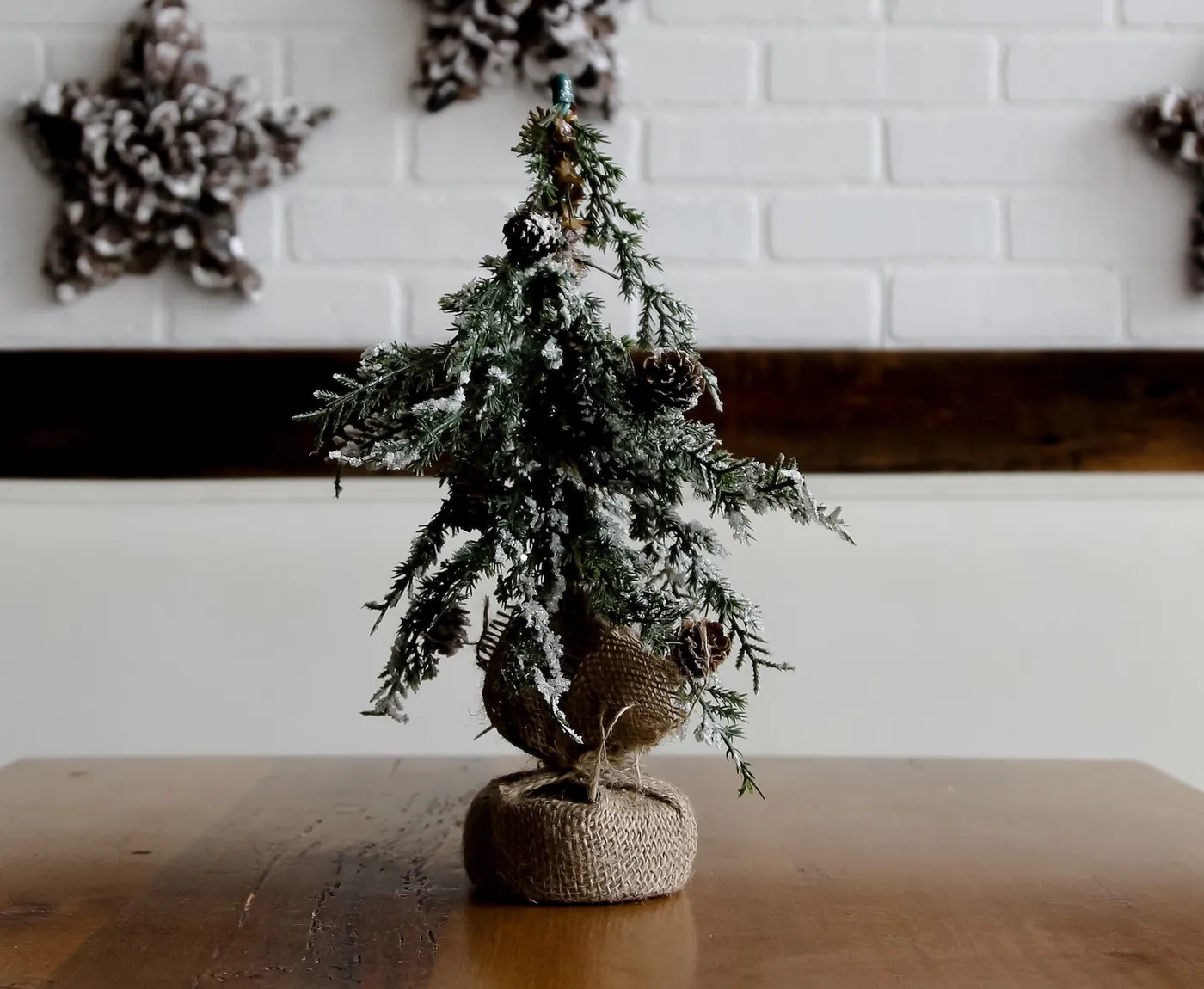 Apartment-Friendly Christmas Tree Alternatives | Park Property Management