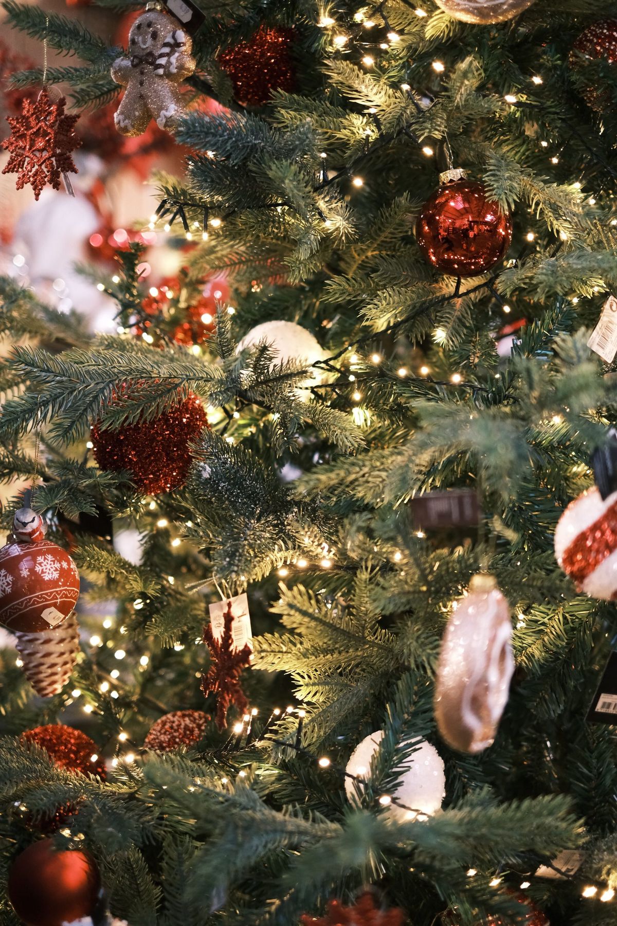 Beautifully decorated Christmas tree with twinkling lights and red ornaments, perfect for holiday spirit.