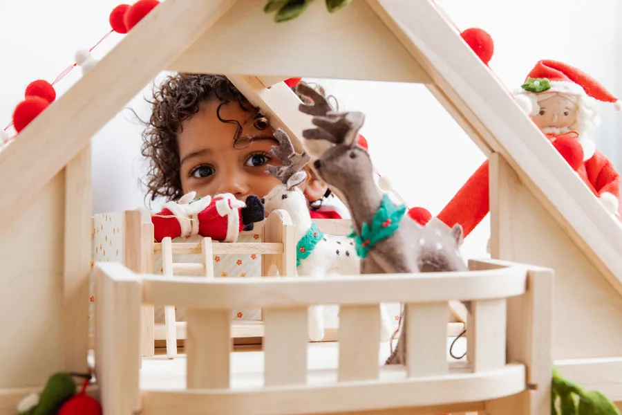 Best Kid Friendly Ornaments that are Organic and Won't Break – Craftspring