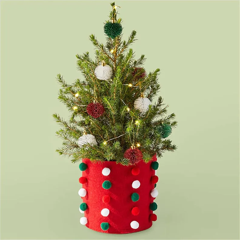 Best Live Tabletop Christmas Trees | 2022 | PS Home