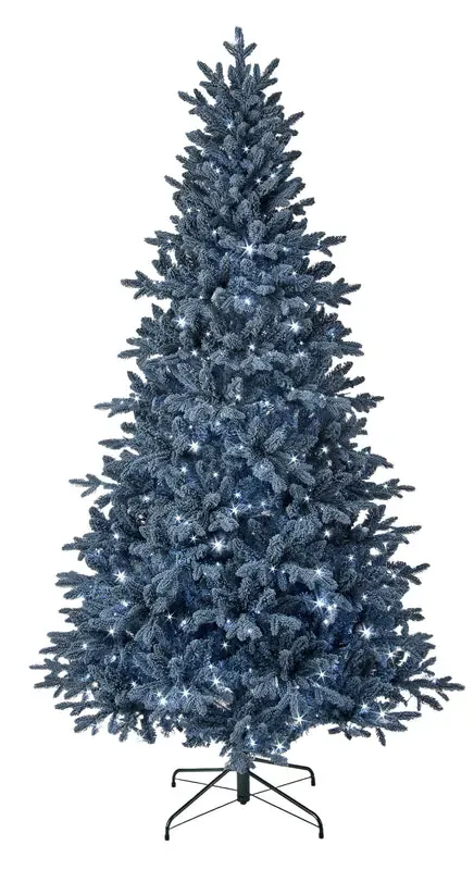 Blue Bavarian Spruce Tree | Available in 7.5' and 9'