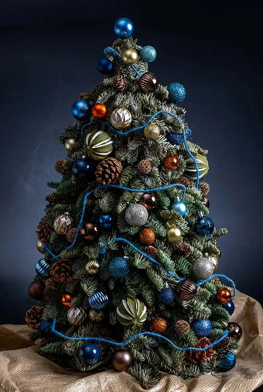 Blue Sapphire Christmas Tree | FREE delivery | Flower Actually