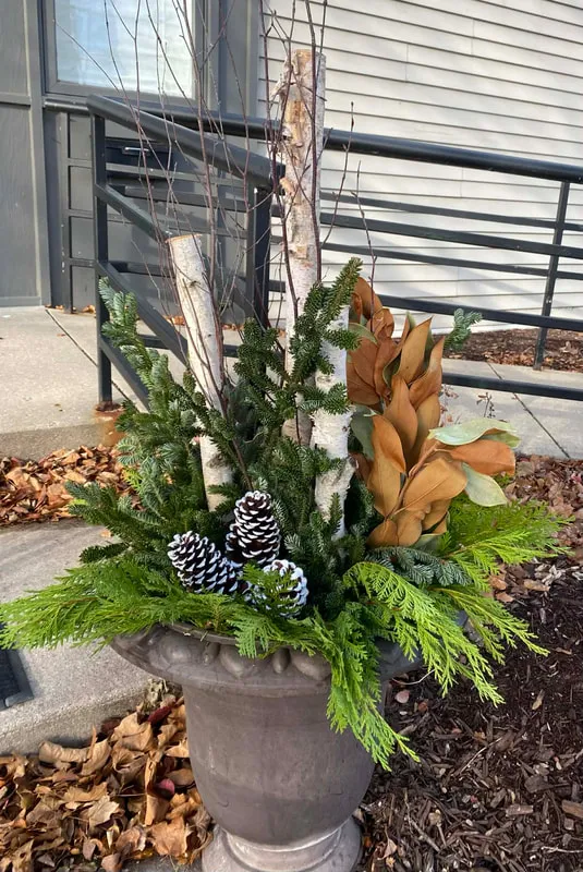 BOTANIC GIFTS