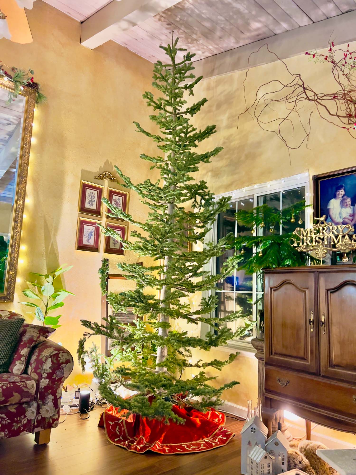 Branching Out to a Silvertip Christmas Tree: Elevate Your Holiday Style
