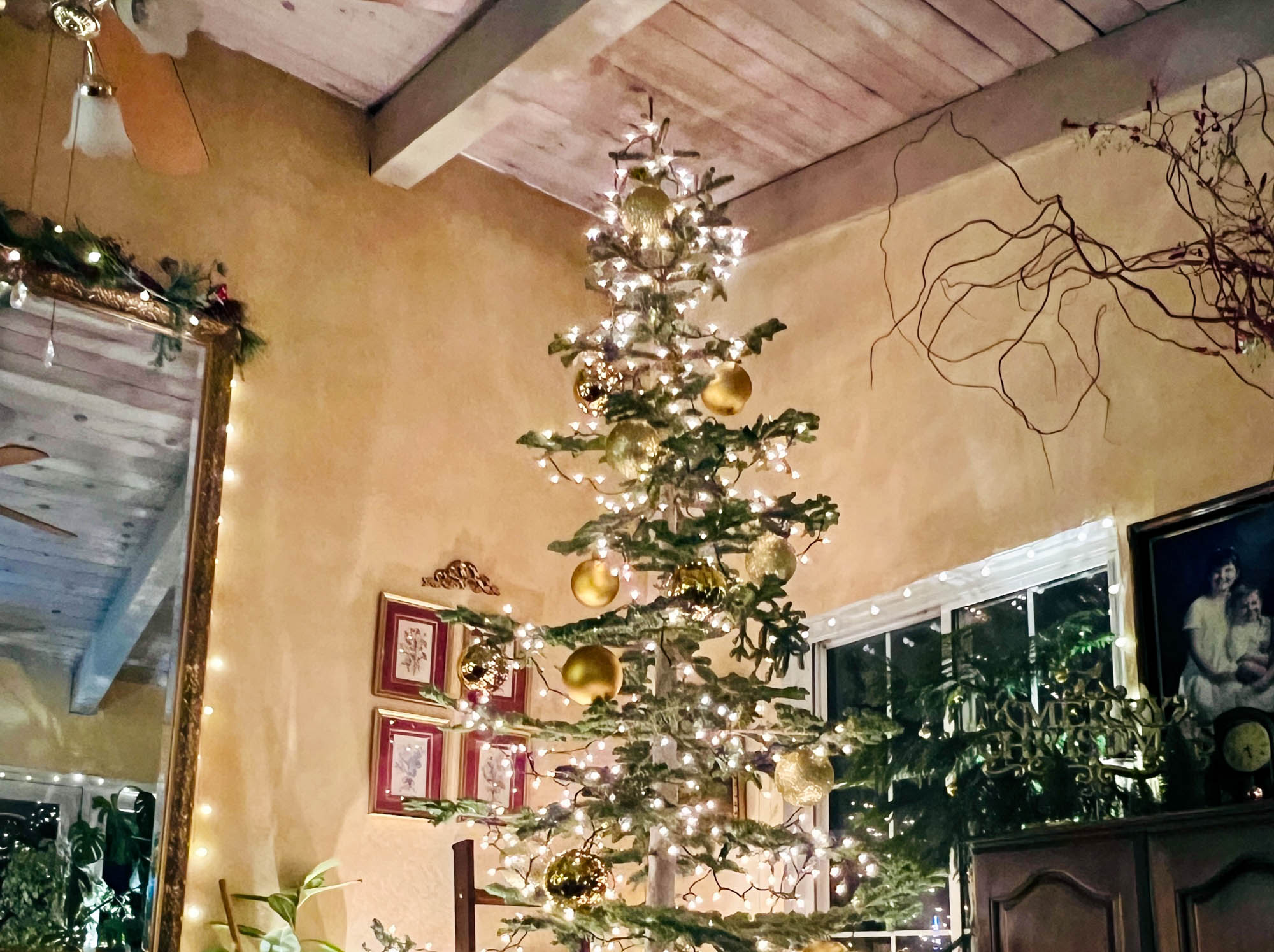 Branching Out to a Silvertip Christmas Tree: Elevate Your Holiday Style