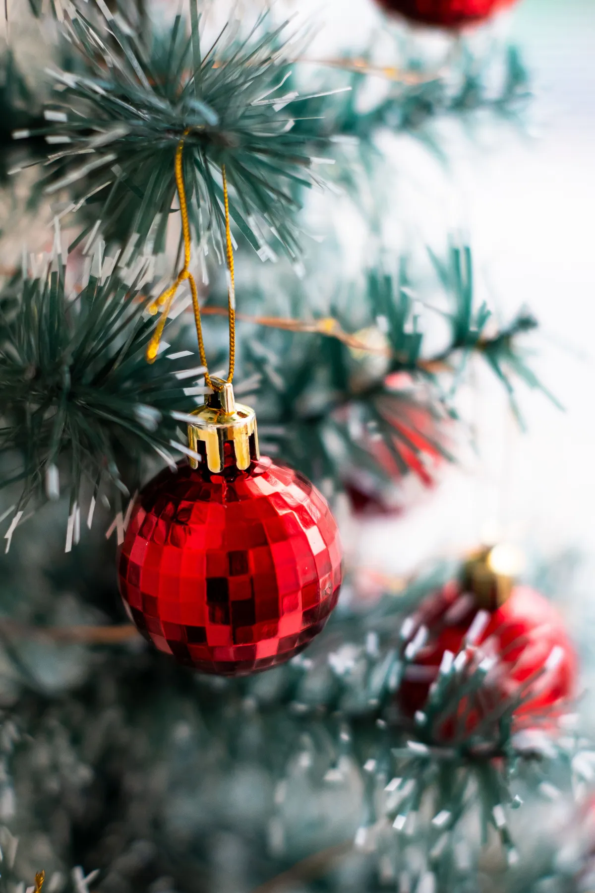 Bright red Christmas bauble adorning a green conifer branch, featuring a festive holiday atmosphere.