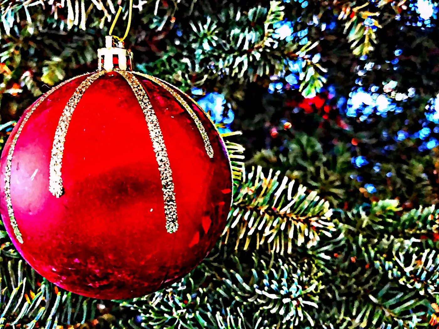 Bright Red Ornament in Xmas Tree – Free Public Domain Image | Public Domain  Pictures