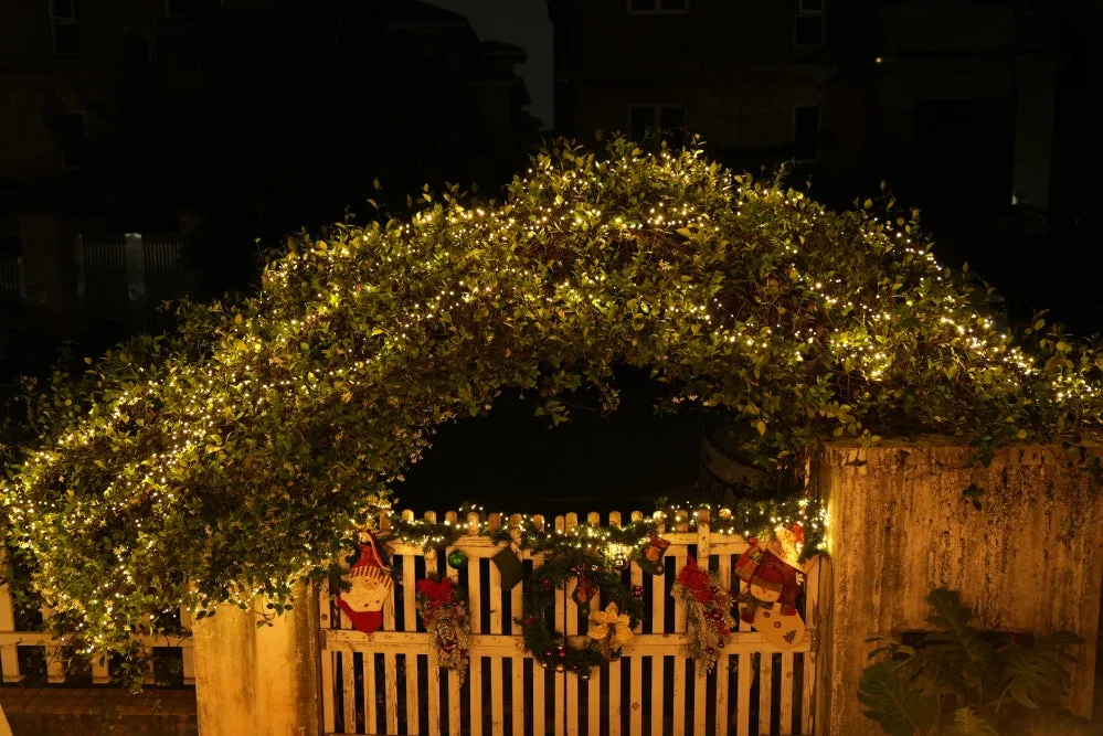 Buyer's Guide: Ollny LED Christmas Lights