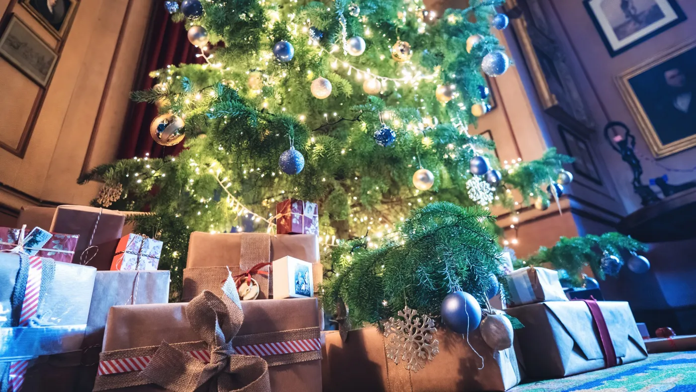 Christmas at Felbrigg | Norfolk | National Trust