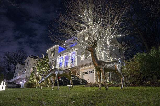 Christmas Light Installation in Cave Creek, AZ | Margie Mae's Holiday Decor