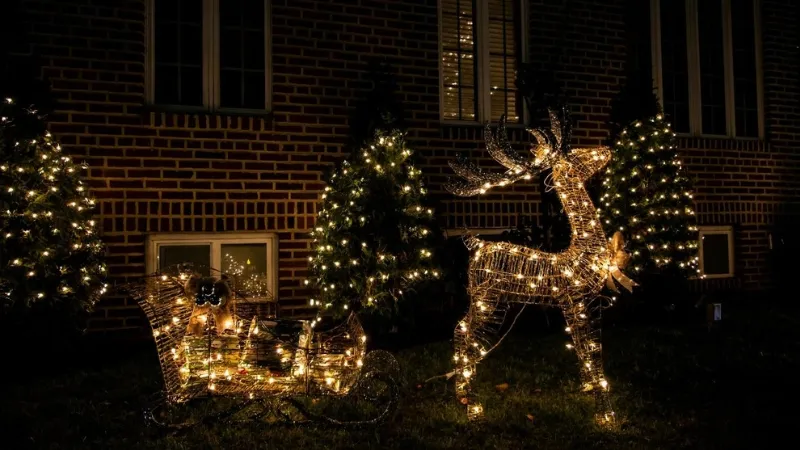 Christmas Lighting Ideas to Dazzle Up Your Calgary Yard
