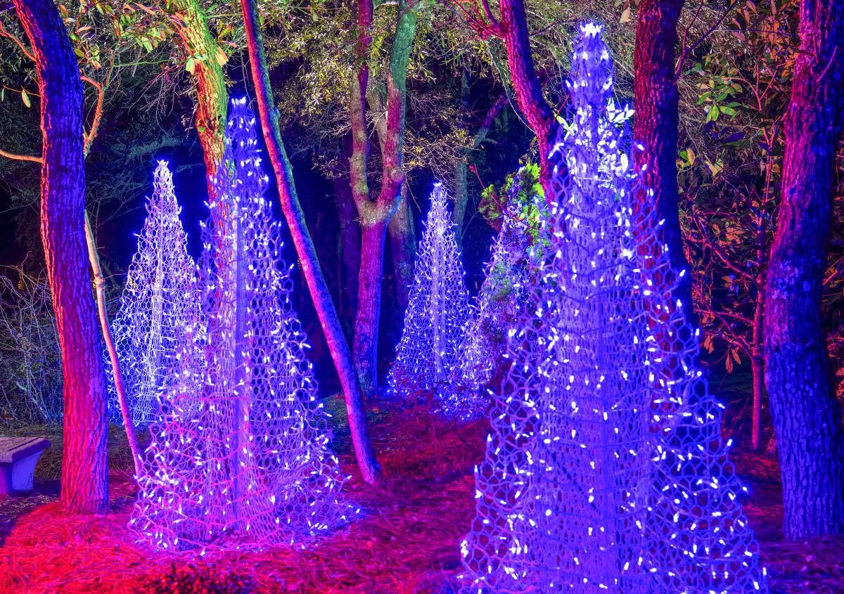 Christmas Lights in NC: Best Holiday Displays to Brighten Your Season