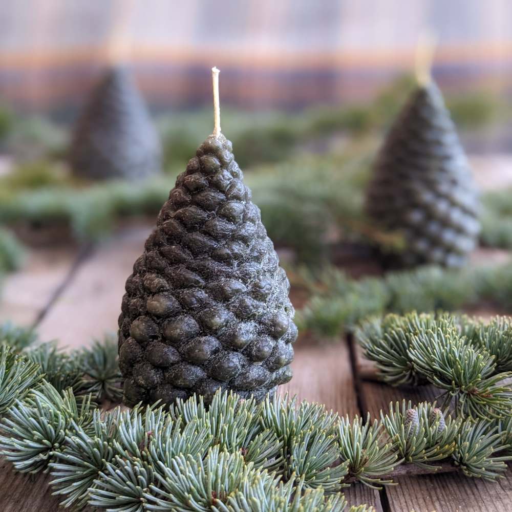 Christmas Pinecone Candles - A Little Light