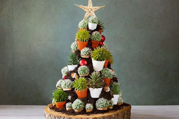 Christmas Tree Alternatives: Unleashing Creativity Beyond the Traditional - Taskrabbit Blog