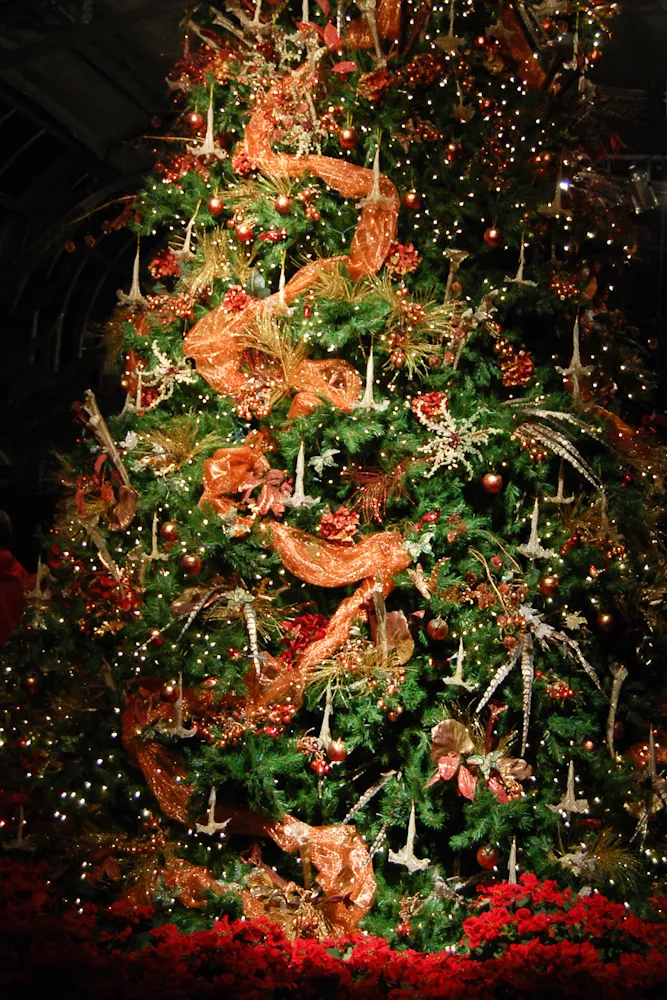 Christmas Tree at Lewis Ginter Botanical Garden | Patricia Temples  Photography
