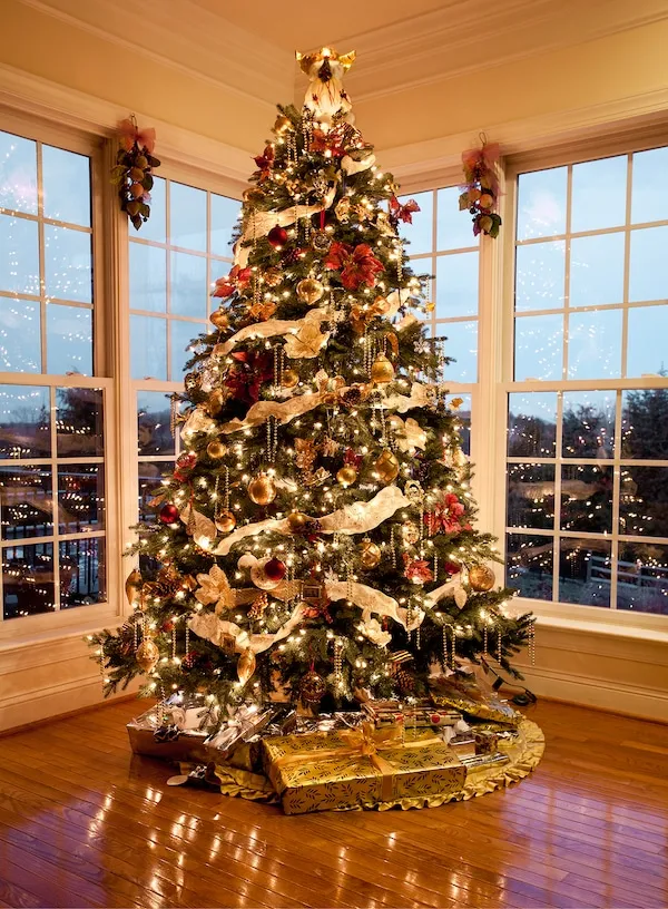 Christmas Tree Care for Your Wiggins Christmas Trees - West Chester &  Cochranville PA