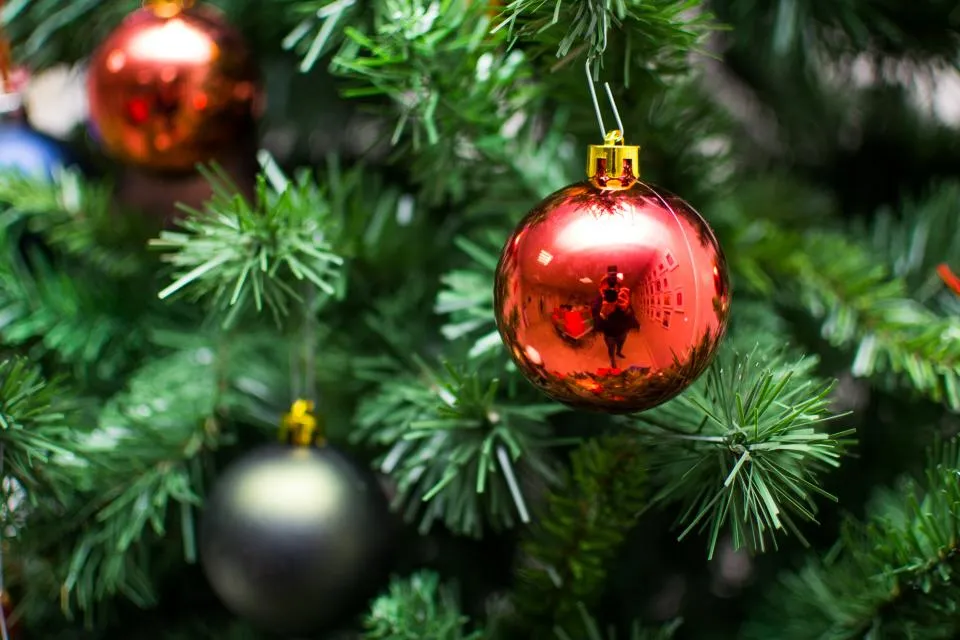 Christmas Tree Free Stock Photo - StockSnap.io