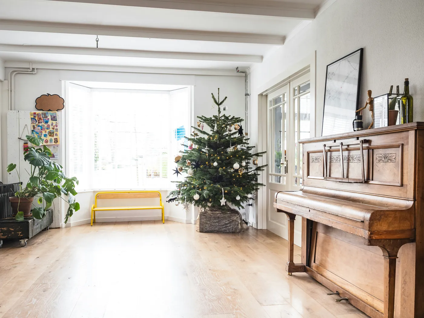 Christmas tree in our living room.