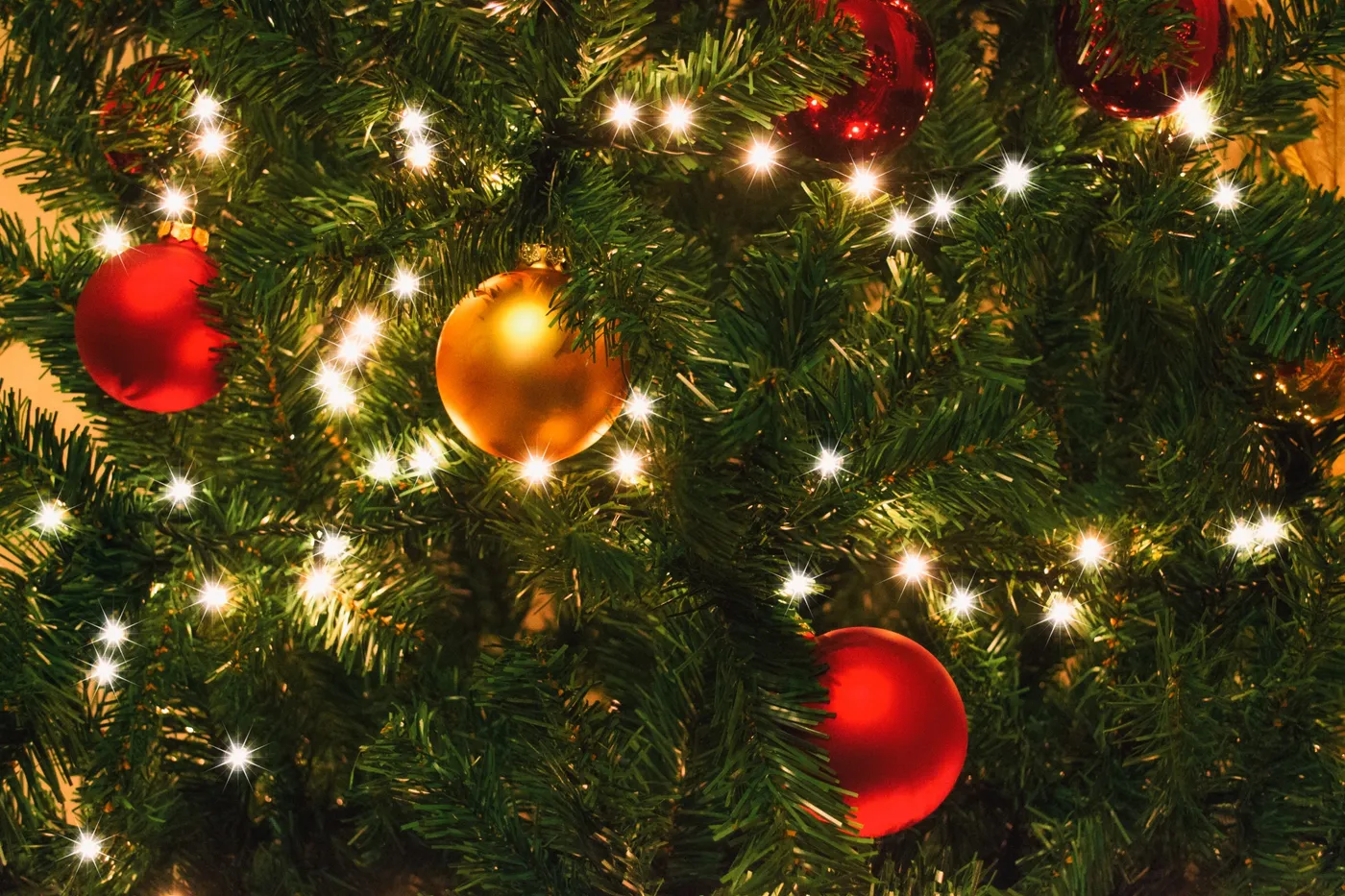 Christmas Tree Lights Detail – Free Public Domain Image | Public Domain Pictures