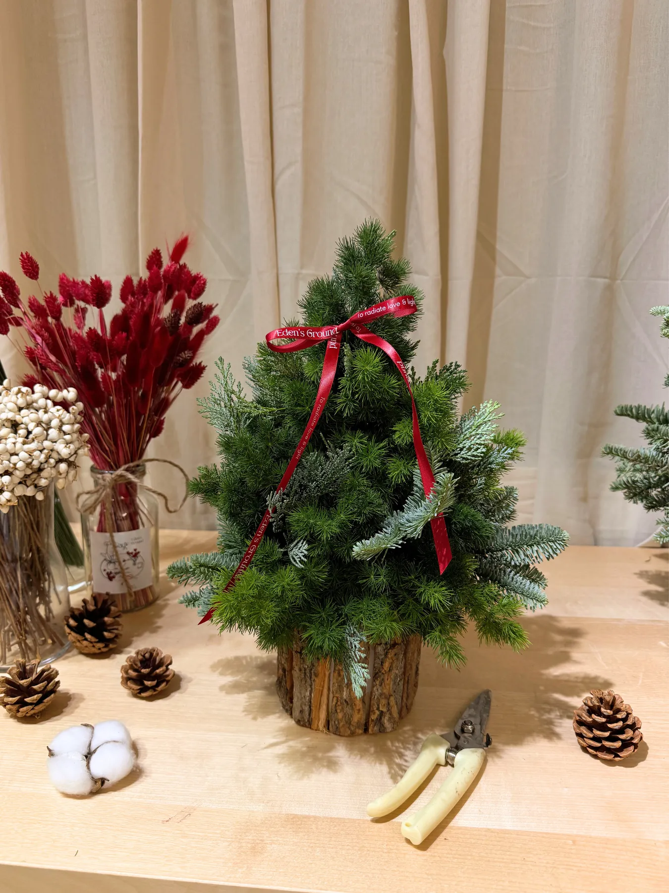 Christmas Tree Workshop, Singapore: Make & Decorate a Mini Tree | Workshop  | Eden's Ground | Singapore Floral Design Boutique