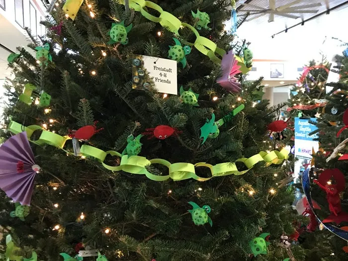 Christmas trees decorated by kids in Milwaukee