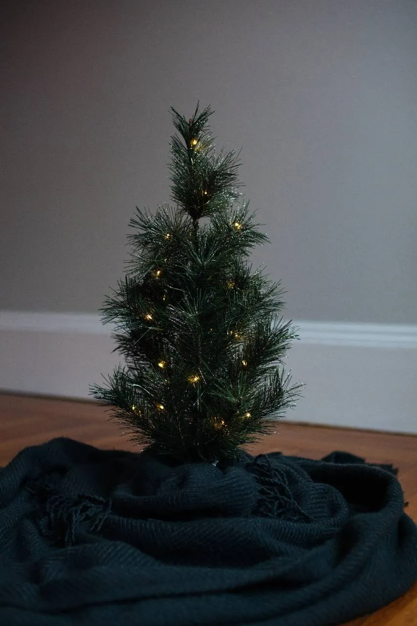 Christmas Trees for Small Spaces – AA Christmas Trees