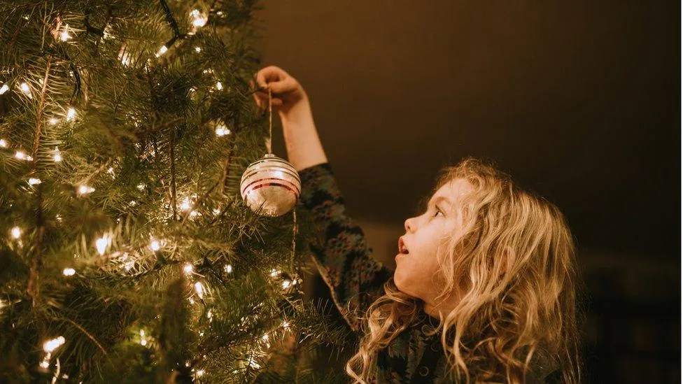 Christmas: What do you think to the idea of renting a festive fir? - BBC  Newsround